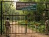 झारखंड के सभी वन क्षेत्रों में 1 जुलाई से 3 महीने तक पर्यटन और गतिविधियों पर रोक