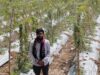 पारंपरिक खेती छोड़ करेले से बदली किस्मत, किसान दीपक ने कमाए 2.95 लाख रुपये का शुद्ध मुनाफा