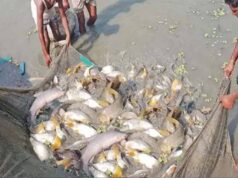 15 अगस्त तक मछली पकड़ने पर प्रतिबंध, प्रजनन काल में संरक्षण पर जोर