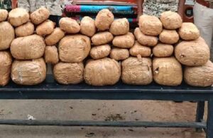 ओडिशा से राजस्थान जा रहा 1.44 करोड़ का गांजा पकड़ा, नाबालिग सहित 2 तस्कर गिरफ्तार