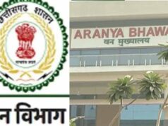 छत्तीसगढ़ वन विभाग में बड़ा फेरबदल, चार वरिष्ठ IFS अधिकारियों को मिली नई जिम्मेदारी