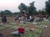 बस्तर में तेंदूपत्ता खरीदी का नया रिकॉर्ड, फिर भी 50 हजार संग्राहकों ने नहीं किया संग्रहण कार्य