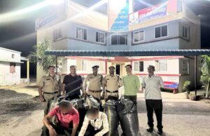 मध्यप्रदेश पुलिस की अवैध मादक पदार्थो के विरूद्ध प्रभावी कार्रवाई