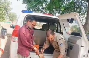 गुना के डायल-112 हीरोज घायल हिरण के शावक को सुरक्षित वन विभाग के सुपुर्द किया