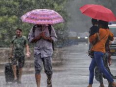 भोपाल में आंधी-बारिश का कहर: 80 पेड़ गिरे, कई जगह ट्रैफिक जाम; MP के 45 जिलों में अलर्ट जारी
