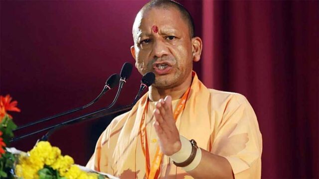 yogi_03-4.jpg