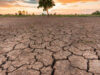MP Weather: 33 जिलों में सामान्य से कम बारिश, किसानों की बढ़ी चिंता; फिलहाल भारी बारिश के संकेत नहीं