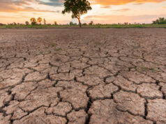 MP Weather: 33 जिलों में सामान्य से कम बारिश, किसानों की बढ़ी चिंता; फिलहाल भारी बारिश के संकेत नहीं