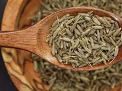FSSAI की छापेमारी में पकड़ी गई केमिकल वाली सौंफ, ऐसे करें पहचान