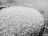 Sugar Price Hike: क्या देश में खत्म हो रही चीनी? अचानक बढ़े दामों के पीछे क्या है असली वजह