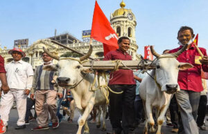 आठ दिन में समाधान नहीं हुआ तो कलेक्ट्रेट पर धरना देंगे किसान, कलेक्टर दिया चेतावनी भरा आवेदन