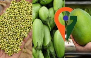 देश में पहली बार एक साथ 12 उद्यानिकी फसलों को मिला जी आई टैग