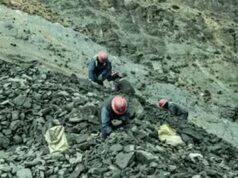 बिहार में 44 नए भूखंडों पर पत्थर खनन को सरकार ने दी मंजूरी