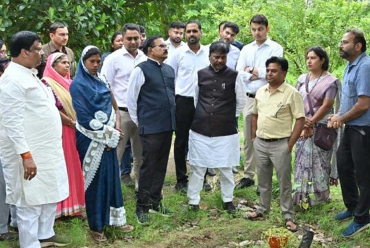 धमतरी जिले में 200 एकड़ से बढ़ाकर 600 एकड़ तक औषधीय खेती के विस्तार का लक्ष्य