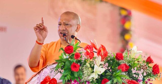 Yogi_02-30.jpg
