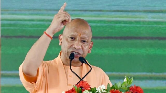 cm_yogi_11-2.jpg