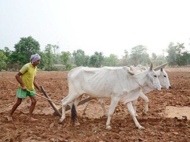 kISAN_01-5.jpg