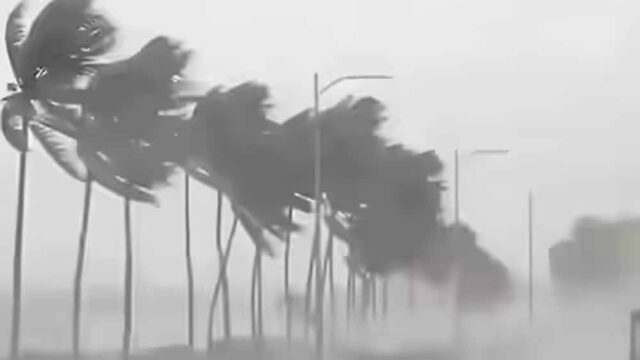 rain_2-6.jpg