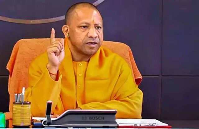 yogi_60_1-3.jpg