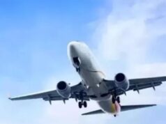 पटना एयरपोर्ट पर बढ़ा बर्ड हिट का खतरा, 2025 में सामने आए 9 मामले