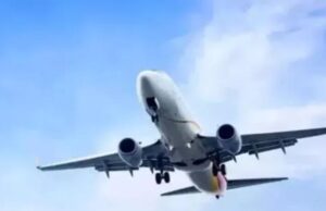 पटना एयरपोर्ट पर बढ़ा बर्ड हिट का खतरा, 2025 में सामने आए 9 मामले