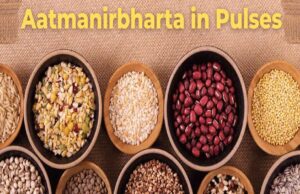 मिशन फॉर आत्मनिर्भरता इन पल्सेस की गतिविधियों की मॉनिटरिंग के लिए राज्य संचालन समिति गठित