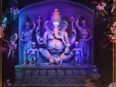 अस्थाई कनेक्शन लेकर ही झांकी-पंडाल की साज सज्जा करें : मंत्री तोमर
