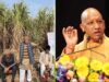 योगी सरकार ने गन्ना किसानों को किया 3.25 लाख करोड़ रुपये का भुगतान