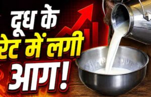 त्योहारों से पहले महंगाई का झटका! दूध के दाम सीधे ₹9 बढ़े, जानें नई कीमतें कब से लागू
