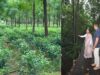 हजारीबाग का डेमोटांड फार्म बनेगा एग्रो टूरिज्म केंद्र, किसानों को मिलेगा प्रशिक्षण