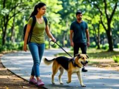 लखनऊ में पालतू कुत्ते-बिल्ली पालने के नए नियम लागू, लाइसेंस नहीं तो भारी जुर्माना