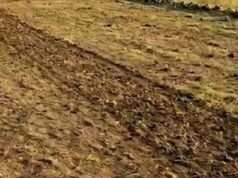 लखनऊ में 2 हजार करोड़ की सरकारी जमीन घोटाले से मचा हड़कंप, 10 अफसर जांच के घेरे में
