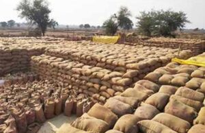 धान खरीदी केंद्र में ₹1.31 करोड़ की गड़बड़ी, संस्था प्रबंधक समेत दो गिरफ्तार