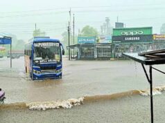 10 घंटे की बारिश से थमा शहडोल, बनास नदी उफान पर; कई रास्ते बंद, खेतों में भरा पानी