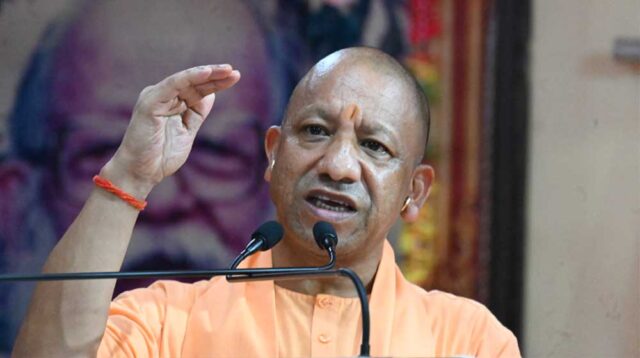 Yogi_01-19.jpg