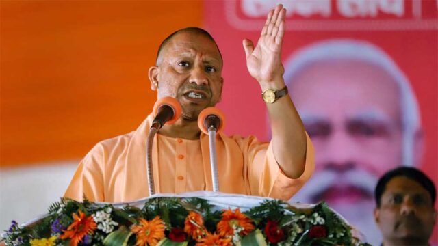 yOGI-1.jpg