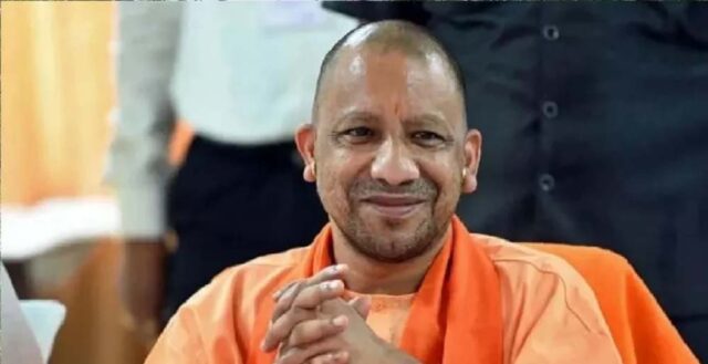 yogi_2_27_2-4.jpg