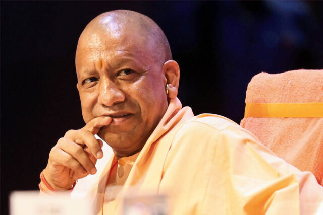 yogi_A_26_3-1.jpg