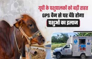 गोवंश को तुरंत मिलेगा उपचार, हर जिले में बनेगा इमरजेंसी रेस्क्यू सिस्टम