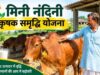 गोरखपुर में मिनी नंदिनी योजना का बढ़ा दायरा, 20 नए लाभार्थी जुड़े; संख्या 26 हुई