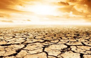 खतरे की घंटी! 2100 तक 40% धरती बन सकती है रेगिस्तान, इंसानों से लेकर पेड़-पौधों तक पर मंडराएगा संकट