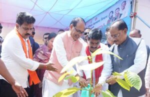 ‘एक पेड़ माँ के नाम’ अभियान से प्रकृति संरक्षण और मातृ सम्मान का संदेश