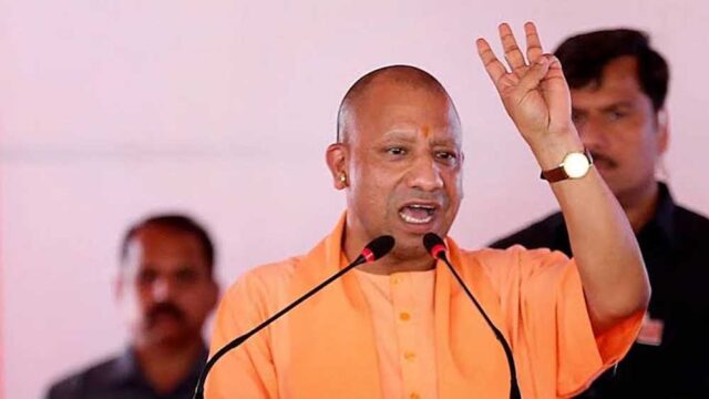 Yogi_01_jpgjjjjj-1.jpg