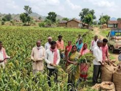 झारखंड में रागी की खेती से किसानों की बढ़ी कमाई, ₹33 किलो बिक रहा मड़ुआ; कम लागत में अच्छा मुनाफा