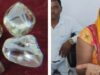 पन्ना में चमकी गुड्डी की किस्मत, एक ही खदान से मिले 4 हीरे; कीमत करीब 10 लाख