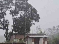 MP Weather Update: दूसरे दिन भी चक्रवात ‘अर्नब’ का असर, सिंगरौली-पांढुर्णा में बारिश; मंडला में अलर्ट