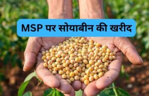 सोयाबीन उपार्जन के लिए किसानों का पंजीयन 3 से 17 अक्टूबर तक