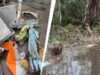Nigeria Aircraft Crash: नाइजीरिया में बड़ा विमान हादसा, 32 यात्रियों और क्रू की मौत