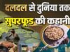 बिहार के मखाने का दुनिया में दबदबा, तालाबों से निकलकर न्यूयॉर्क-लंदन तक पहुंचा मिथिला का ‘सफेद मोती’