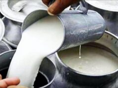 बिहार में डेयरी फार्म खोलने पर मिलेगी 75% तक सब्सिडी, सरकार दे रही 8 लाख रुपये से ज्यादा की मदद